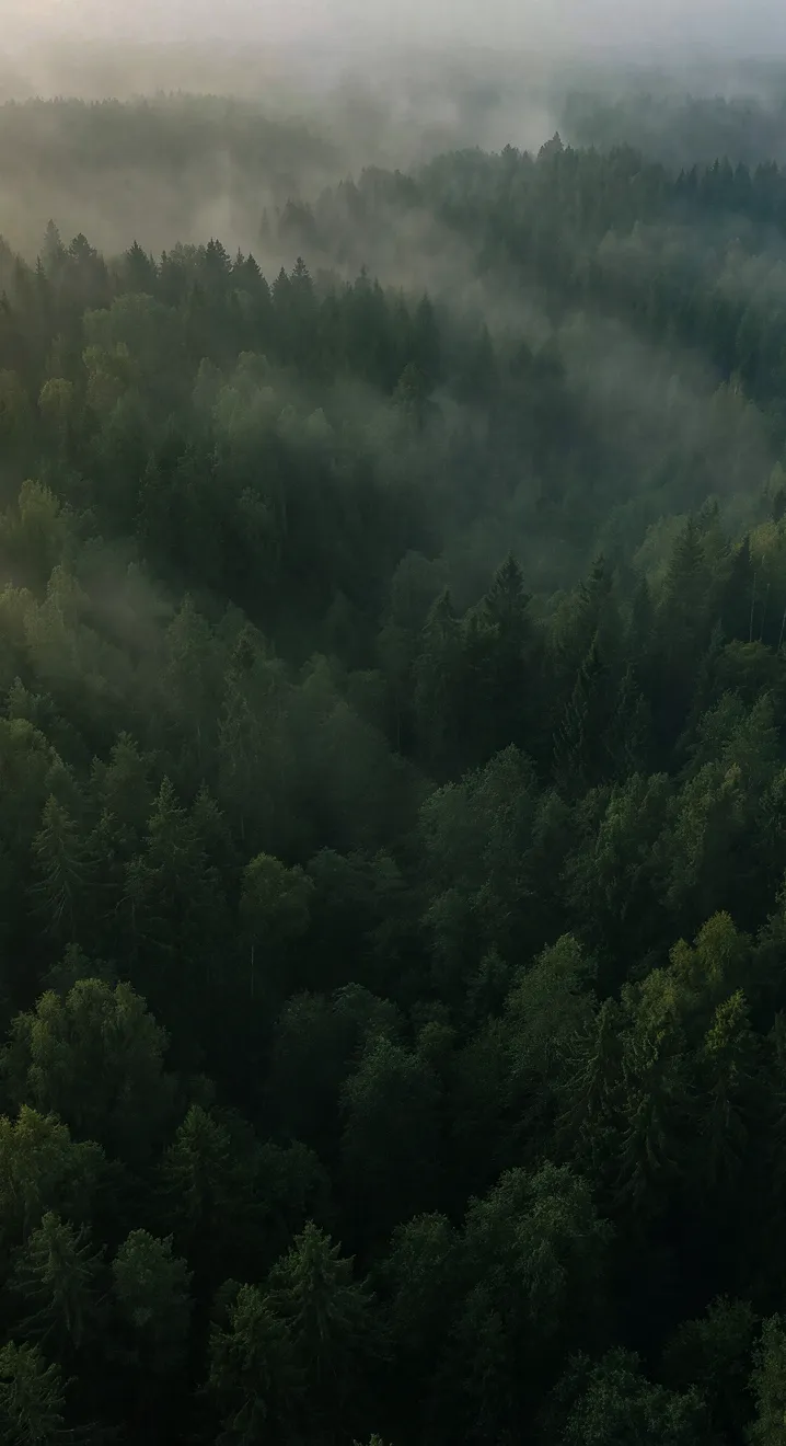 изображение здания